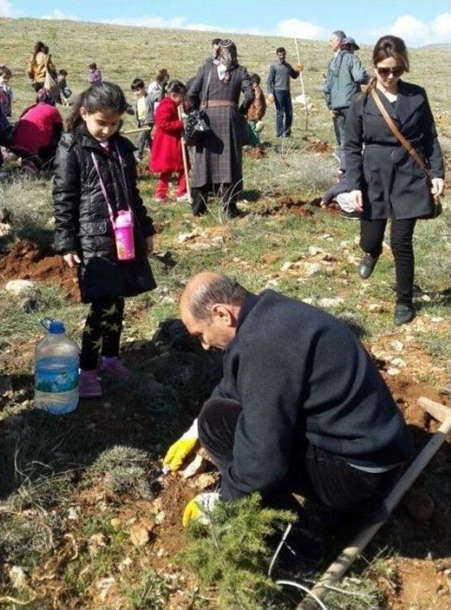 Anaokulu Öğrencileri Fidan Dikti