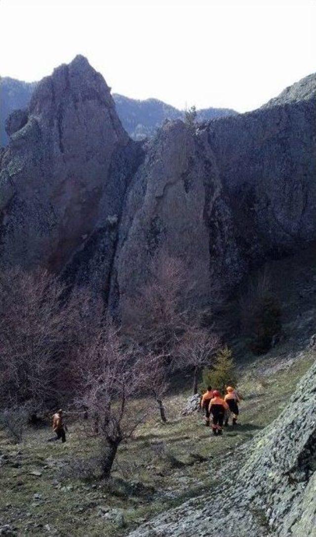 Afad Ekipleri, Kayalıklarda Mahsur Kalan Keçileri Kurtardı