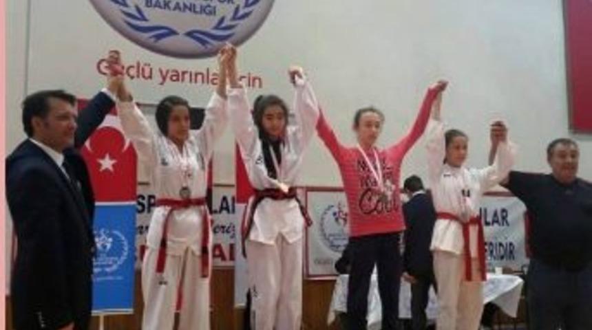Taekwondoculardan B&uuml;y&uuml;k Başarı