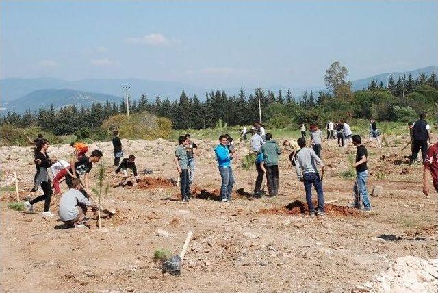 Didim’de 400 Çam Fidanı Toprakla Buluştu