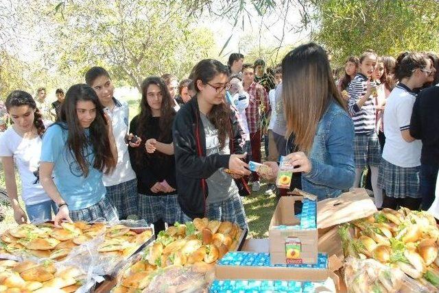 Didim’de 400 Çam Fidanı Toprakla Buluştu