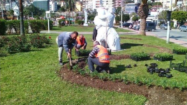 Alanya Belediyesi Mevsimlik Çiçek Dikimine Başladı