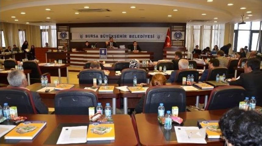 B&uuml;y&uuml;kşehir Meclisi&rsquo;nden Canlı Hayvan Ve Et Borsasına Onay