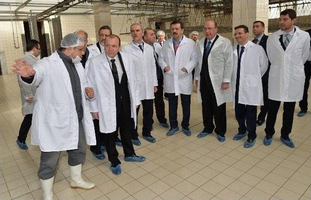 Büyükşehir Meclisi’nden Canlı Hayvan Ve Et Borsasına Onay 2