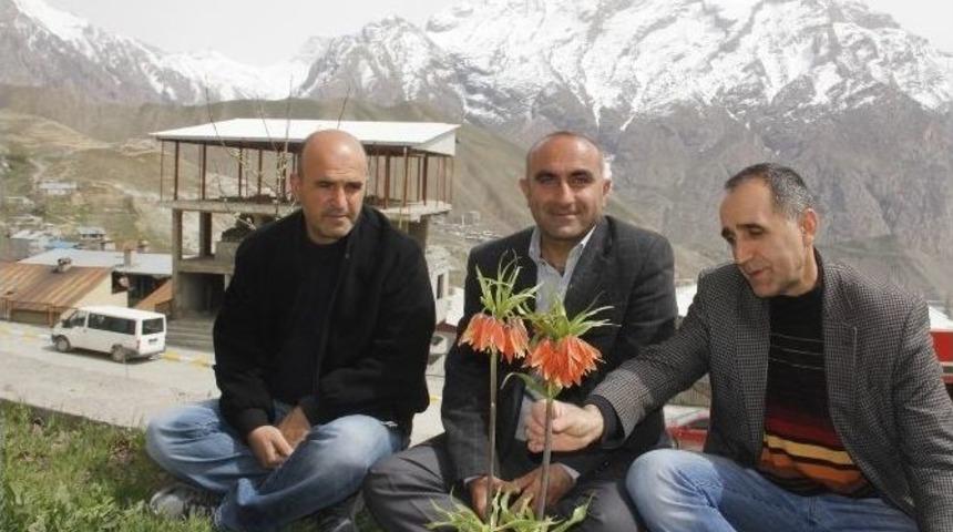 (&ouml;zel Haber) Ters Lale Tehlike Altında