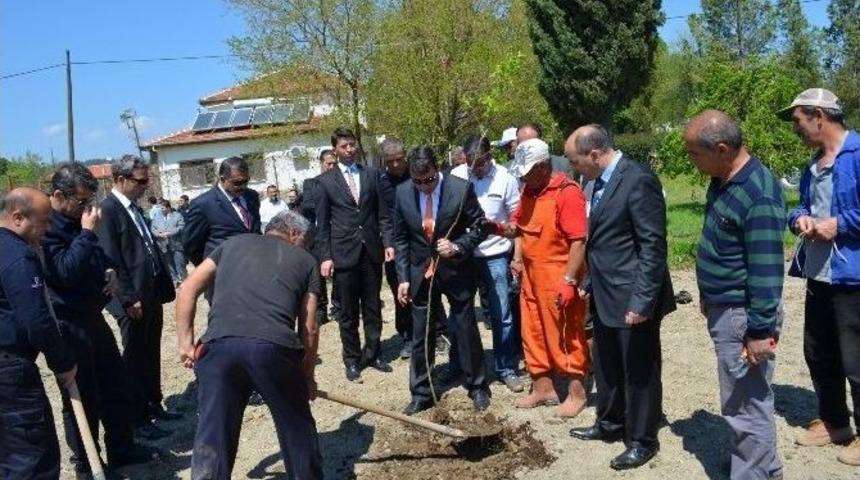 Dalaman&rsquo;da Şehit Savcı Kiraz&rsquo;ın Anısına 510 Sığla Fidanı Dikildi