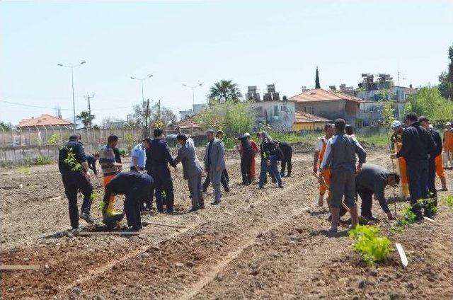 Dalaman&rsquo;da Şehit Savcı Kiraz&rsquo;ın Anısına 510 Sığla Fidanı Dikildi 1
