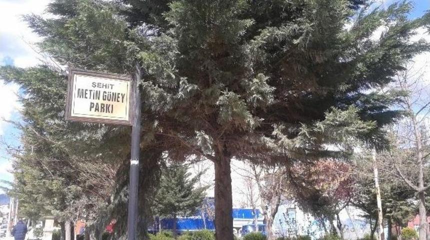 Orhangazi&rsquo;de Parklar D&uuml;zenleniyor