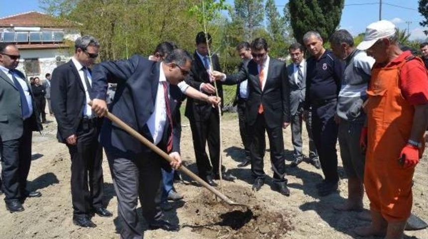 Şehit Savcı I&ccedil;in Fidan Diktiler