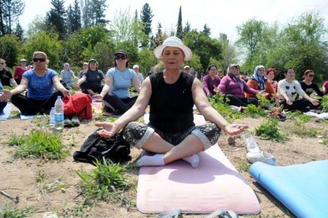 Önce Göbek Havası, Sonra Meditasyon