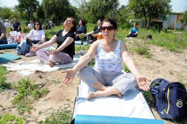 Önce Göbek Havası, Sonra Meditasyon