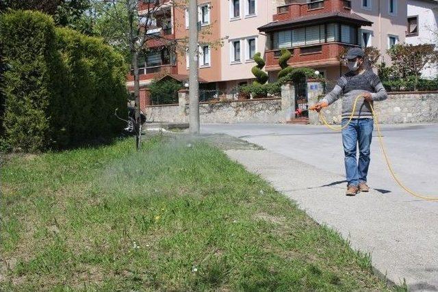 Serdivan’da Rahat Bir Yaz İçin Çalışmalar Başladı 3