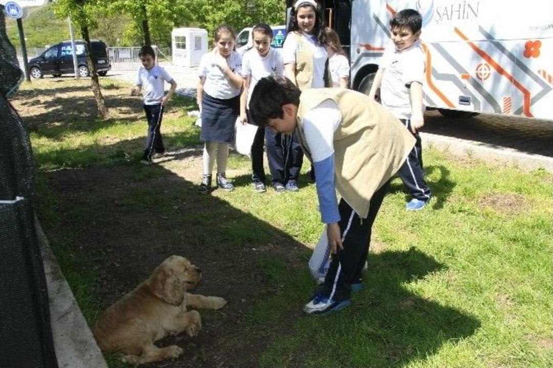 &Ouml;ğrenciler Hayvan Barınağını Gezdi