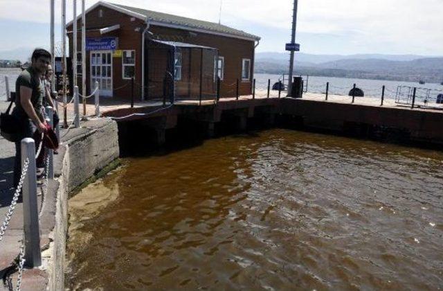 İzmit Körfezi'nde Deniz Kızardı