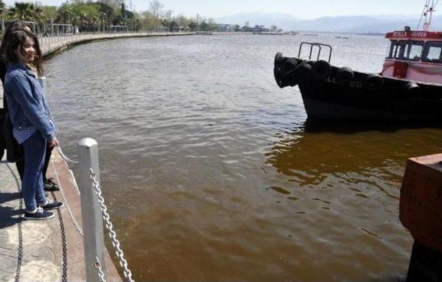 İzmit Körfezi'nde Deniz Kızardı