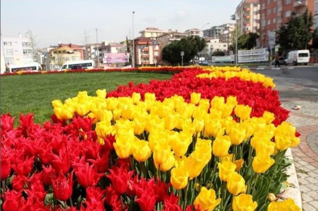 Kartal&rsquo;da İlkbahar G&uuml;zelliği