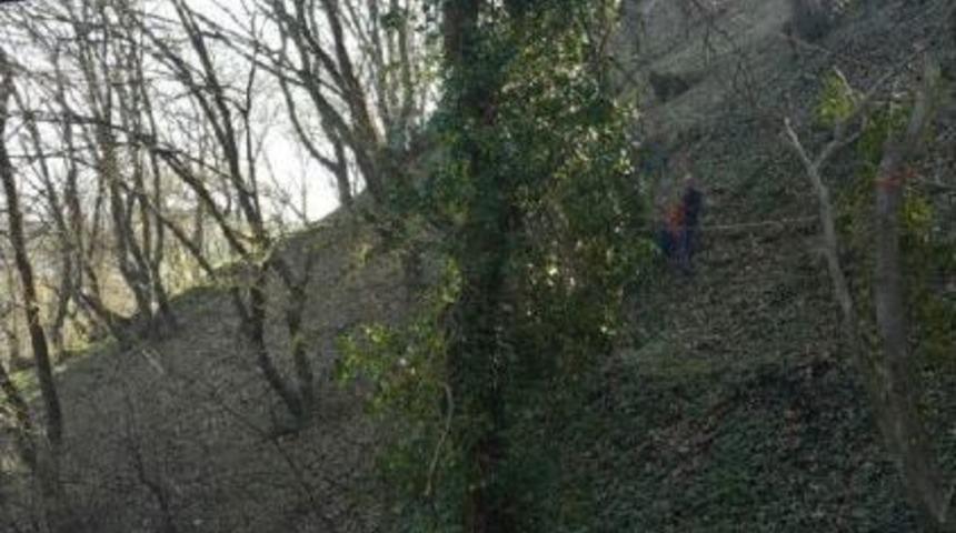 Devrilen Ağa&ccedil; Vin&ccedil;le Kaldırılıp Dikildi