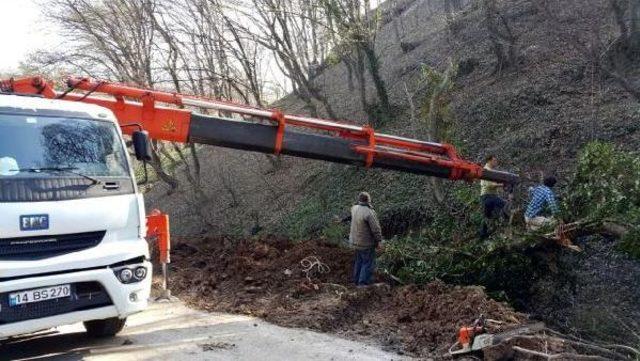 Devrilen Ağa&ccedil; Vin&ccedil;le Kaldırılıp Dikildi 1