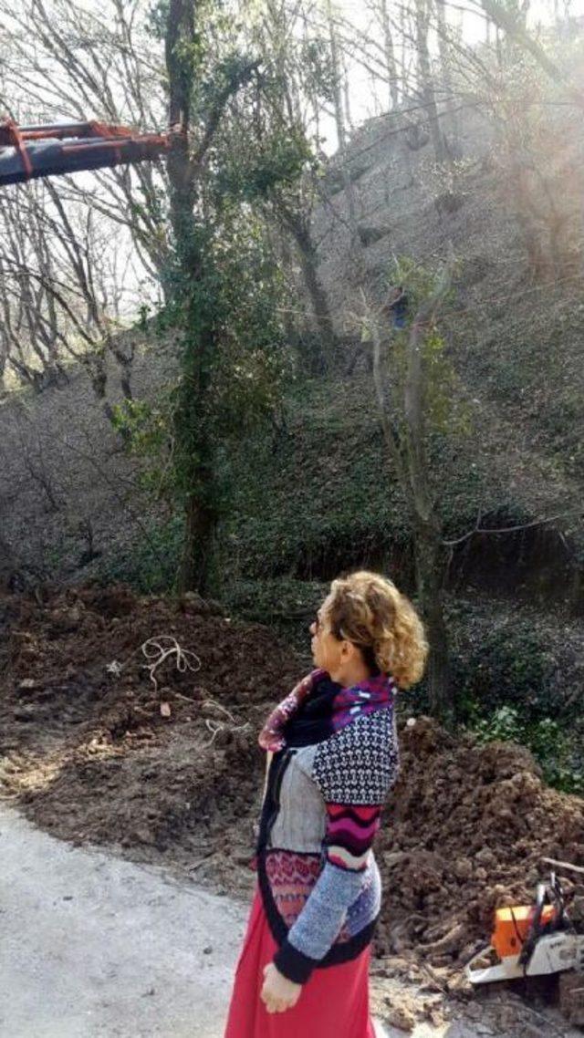 Devrilen Ağa&ccedil; Vin&ccedil;le Kaldırılıp Dikildi 3