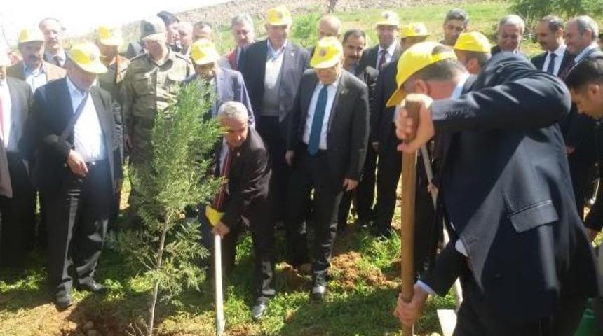 Şehit Savcı Kiraz Anısına Memleketi Siirt'te Hatıra Ormanı