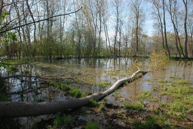 Tokat’ta Tarım Arazilerini Su Bastı 1