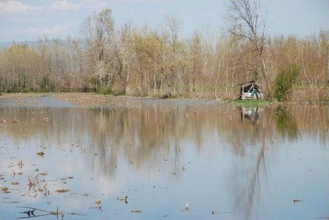 Tokat’ta Tarım Arazilerini Su Bastı 2