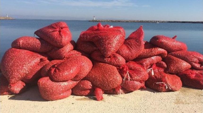 Karadan Olmayınca Denizi Denediler, Bu Kez De Sahil G&uuml;venliğe Yakalandılar