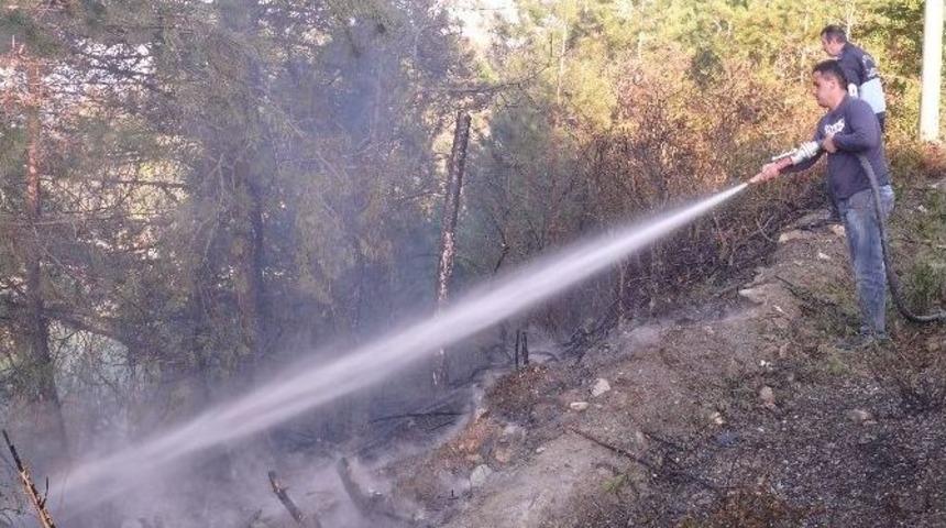 &Ccedil;atalzeytin&rsquo;de Orman Yangını