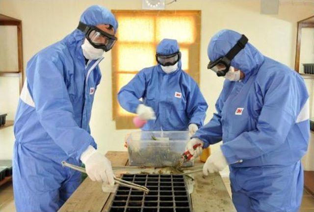  dumansız Yangın la Biyolojik M&uuml;cadele 1