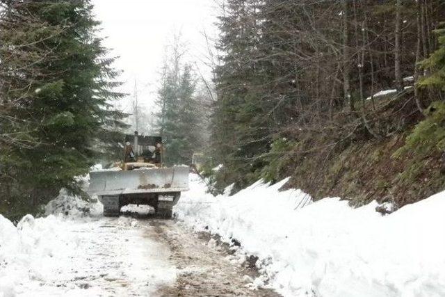 Kardan Kapalı Olan Yedigöller Yolu Ulaşıma Açıldı