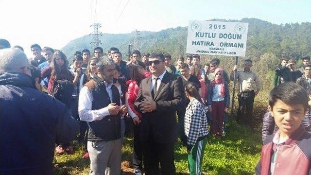 Kutlu Doğum Hatıra Ormanı