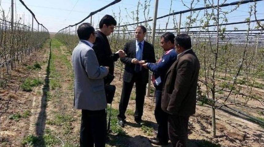 Niğde&rsquo;de Elma Ve Kirazda Artış Bekleniyor