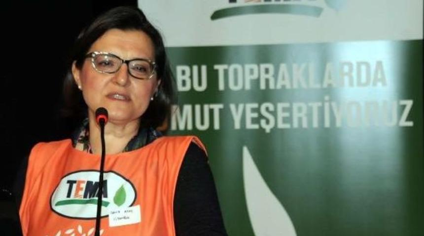 Tema Başkanı Ata&ccedil;: N&uuml;kleer Enerji Santrali Bir Daha D&uuml;ş&uuml;n&uuml;ls&uuml;n