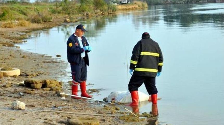 Manavgat Irmağı'nda Erkek Cesedi Bulundu