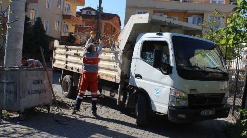 İzmit&rsquo;te Budanan Ağa&ccedil; Dalları Toplanıyor