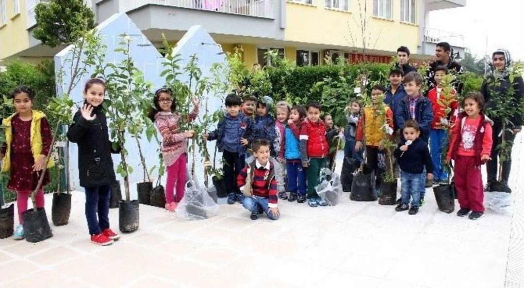 Diktikleri Fidanlarla B&uuml;y&uuml;yecekler