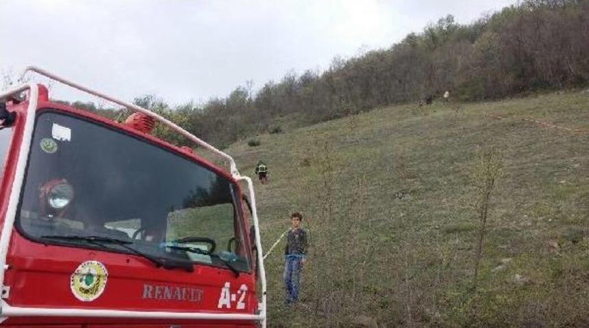 Ordu&rsquo;Da Orman Yangını