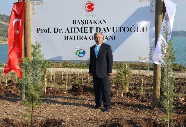 Başbakan Davutoğlu Adına Hatıra Ormanı 1