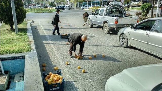 Yola D&ouml;k&uuml;len Greyfurtlar, S&uuml;r&uuml;c&uuml;ler Tarafından Toplanıp Sahibine Verildi 1