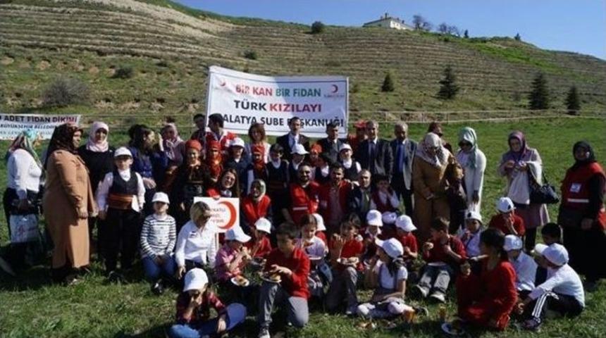 Kızılay, Bağış&ccedil;ıları Adına Fidan Dikti