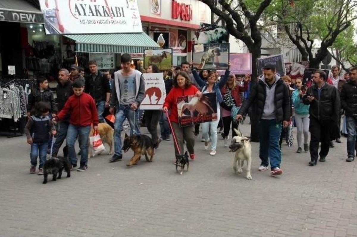 Hayvan Hakları Ve &Ouml;l&uuml;mleri İ&ccedil;in Y&uuml;r&uuml;d&uuml;ler