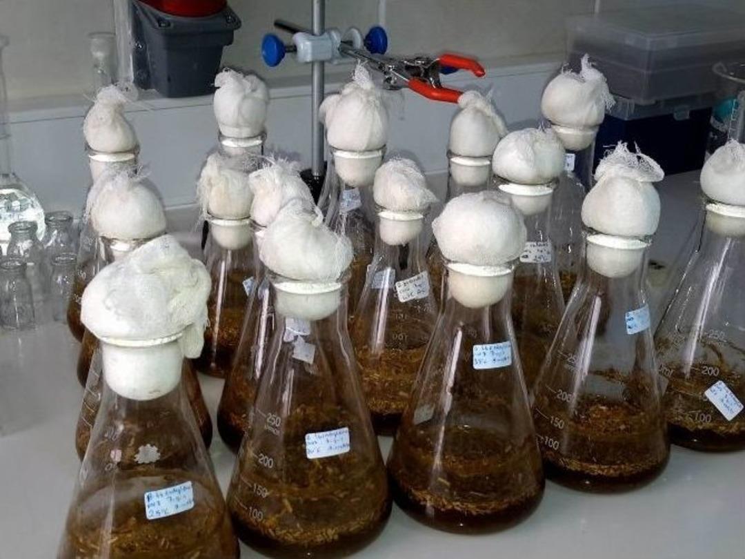 (&ouml;zel Haber) Kanserde Yeni Umut Olan Maddeyi Abd&rsquo;den Sonra T&uuml;rkiye&rsquo;de &Uuml;retmeyi Başardı