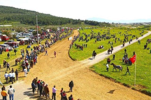 Rahvan Atlar Osmanlı’yı Hatırlattı