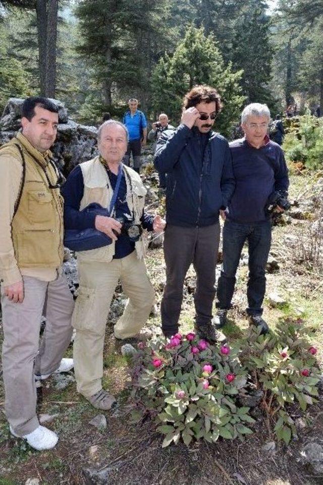 Şakayık&rsquo;a &Ouml;zel Foto Safari 2