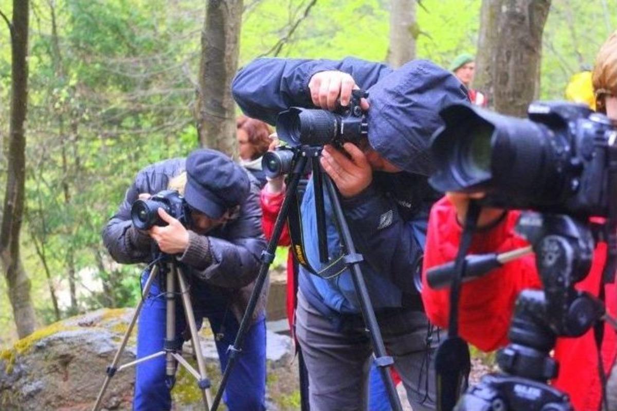 Doğa Y&uuml;r&uuml;y&uuml;ş&uuml; Ve Foto Safari D&uuml;zenlendi