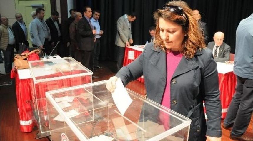 Sd&uuml;&rsquo;de Rekt&ouml;rl&uuml;k Se&ccedil;imi Heyecanı