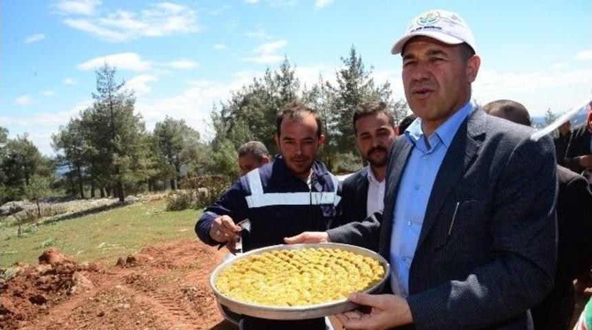 Başkan S&ouml;zl&uuml;&rsquo;den Belediye İş&ccedil;isine Baklava Dopingi