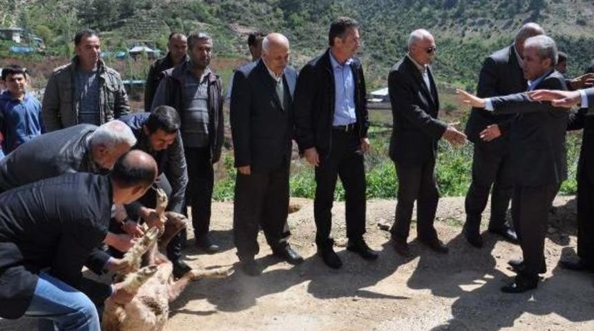 Ak Partili Tayyar: Çözüm Süreci Nedeniyle Türkiye'ye Tuzak Kurdular