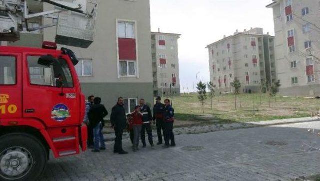 Doğubayazıt'ta Fırtına Toki Konutlarının Çatılarını Uçurdu