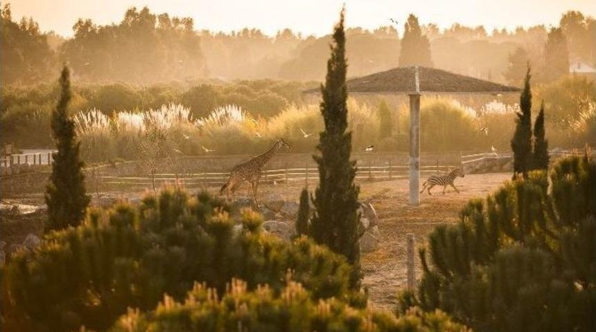 İzmir Doğal Yaşam Parkında Yeni Rekor